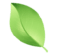 Cosmetology leaf